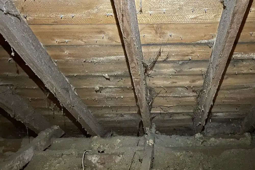 Internal roof inspection